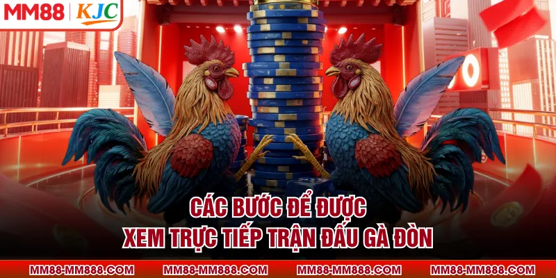 Thông tin cần nắm khi tìm hiểu hình thức thi đấu đá gà đòn