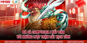 Đá Gà Campuchia | Hấp Dẫn Với Những Lượt Trận Đầy Kịch Tính