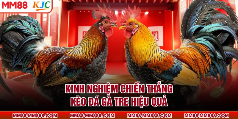 Kinh nghiệm chiến thắng kèo đá gà tre hiệu quả